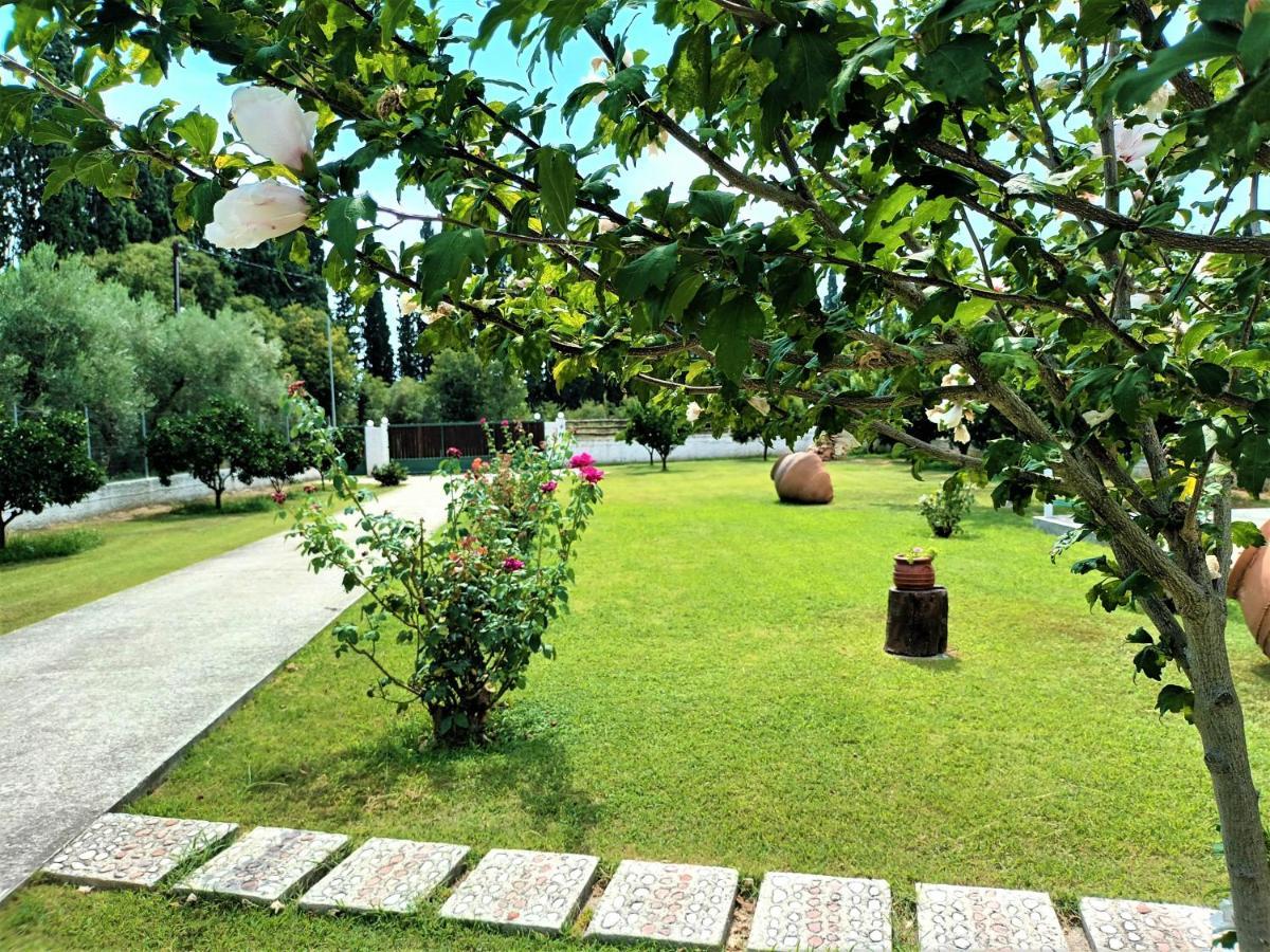 Willa Zenia Pelion Garden House Platanidia Zewnętrze zdjęcie