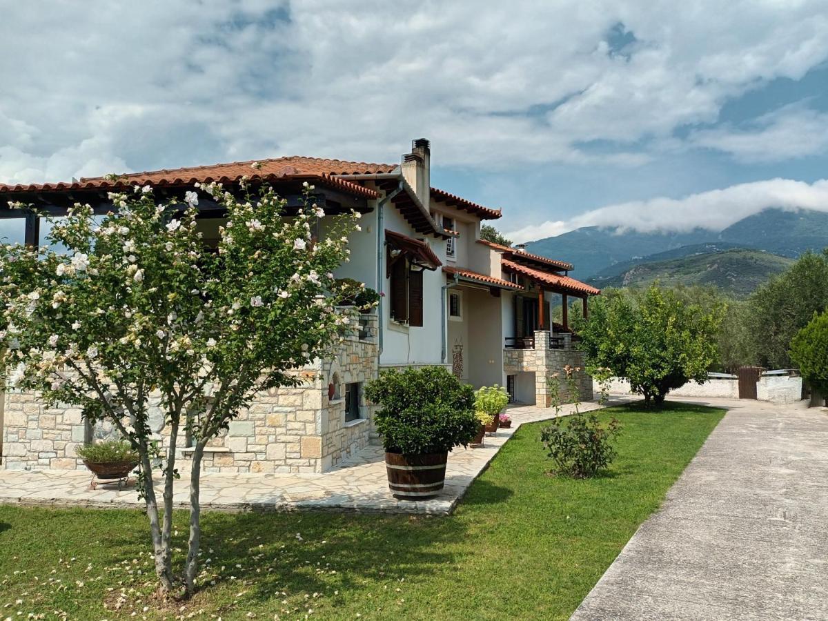 Willa Zenia Pelion Garden House Platanidia Zewnętrze zdjęcie
